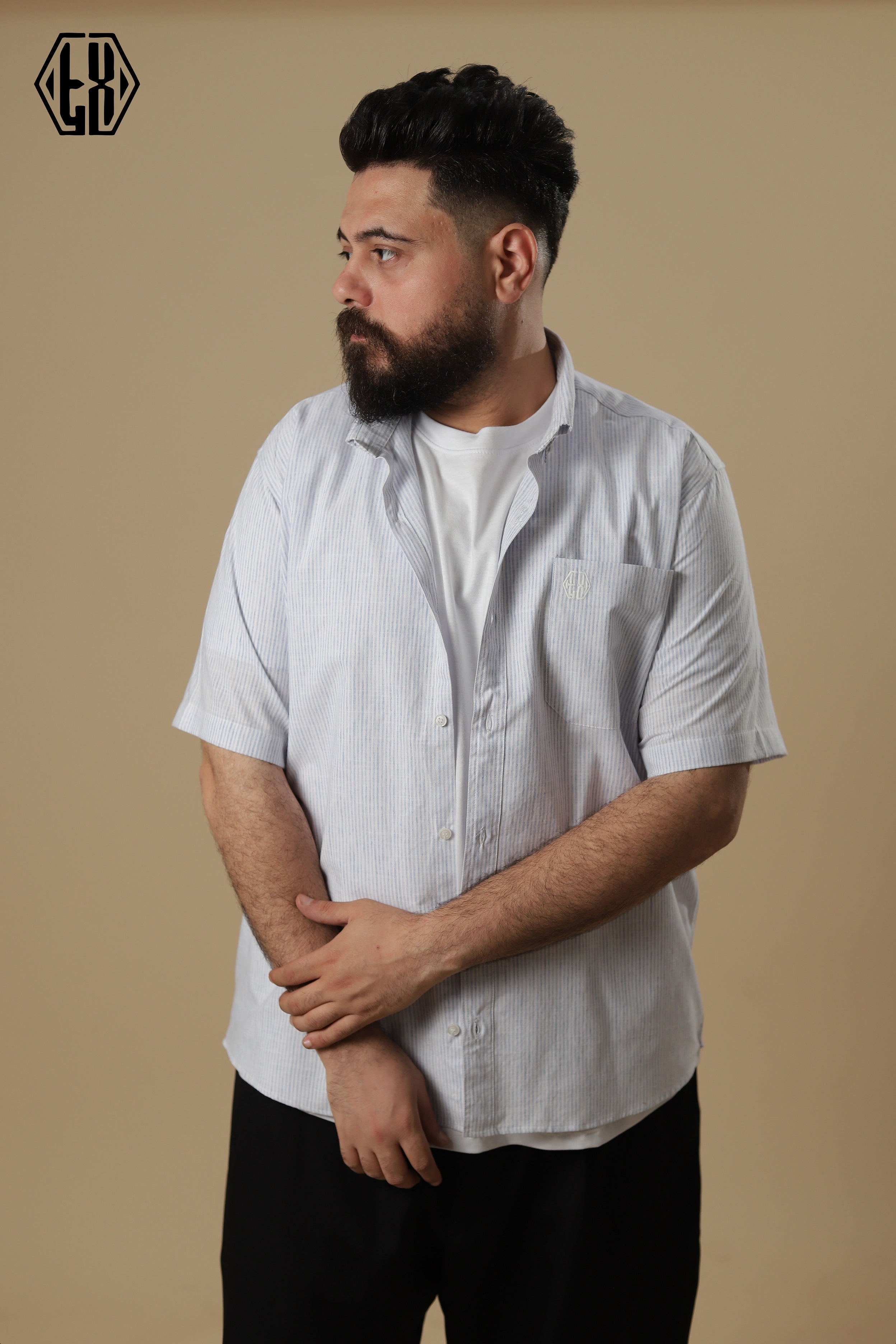 Striped Short Sleeve Linen Shirt