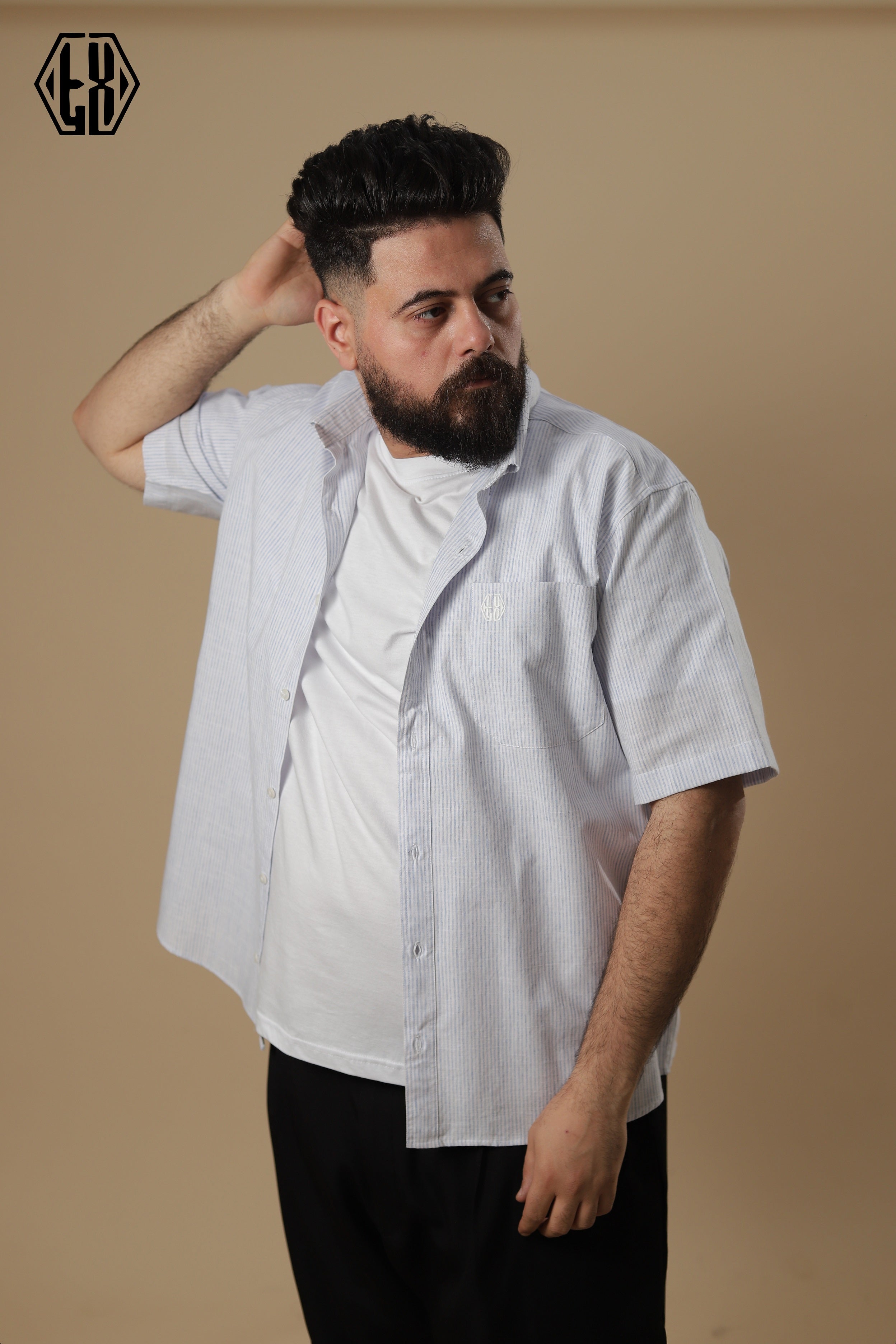 Striped Short Sleeve Linen Shirt