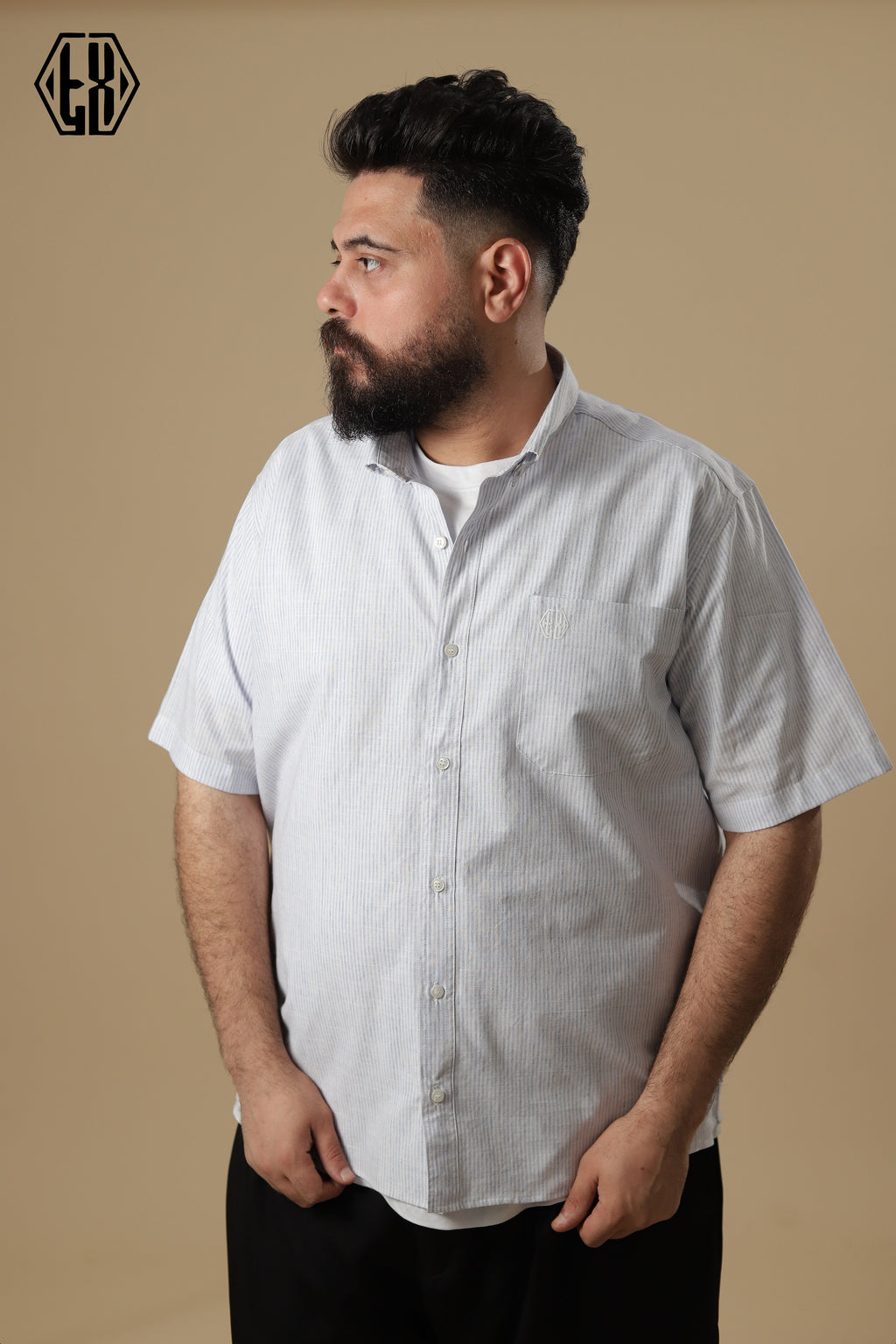 Striped Short Sleeve Linen Shirt