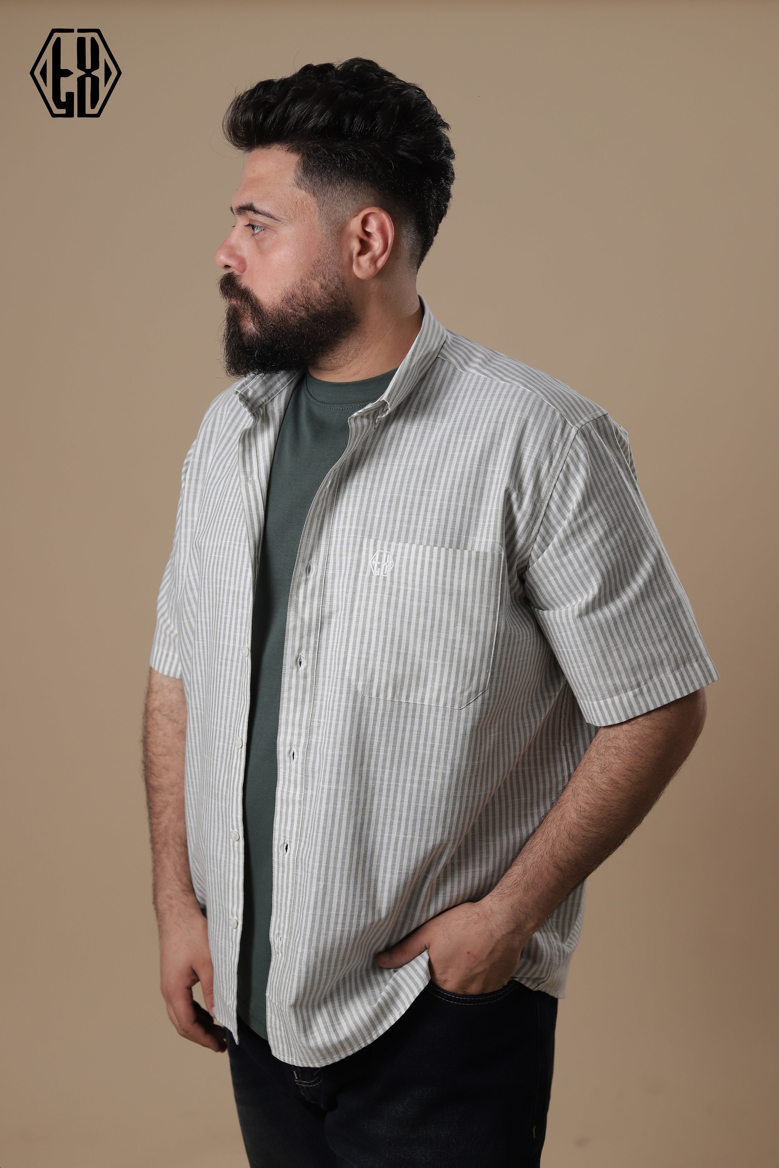 Striped Short Sleeve Linen Shirt
