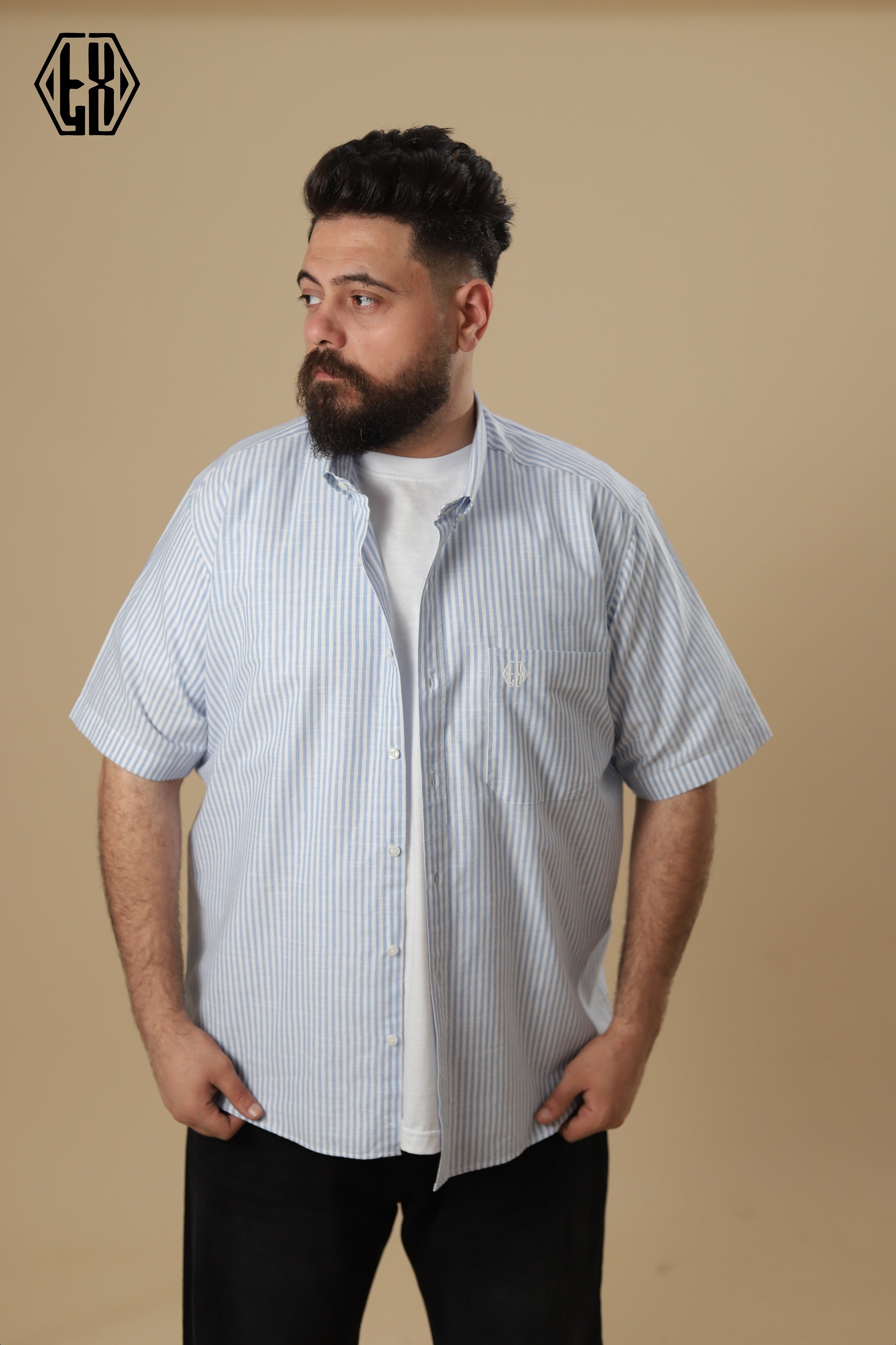 Striped Short Sleeve Linen Shirt