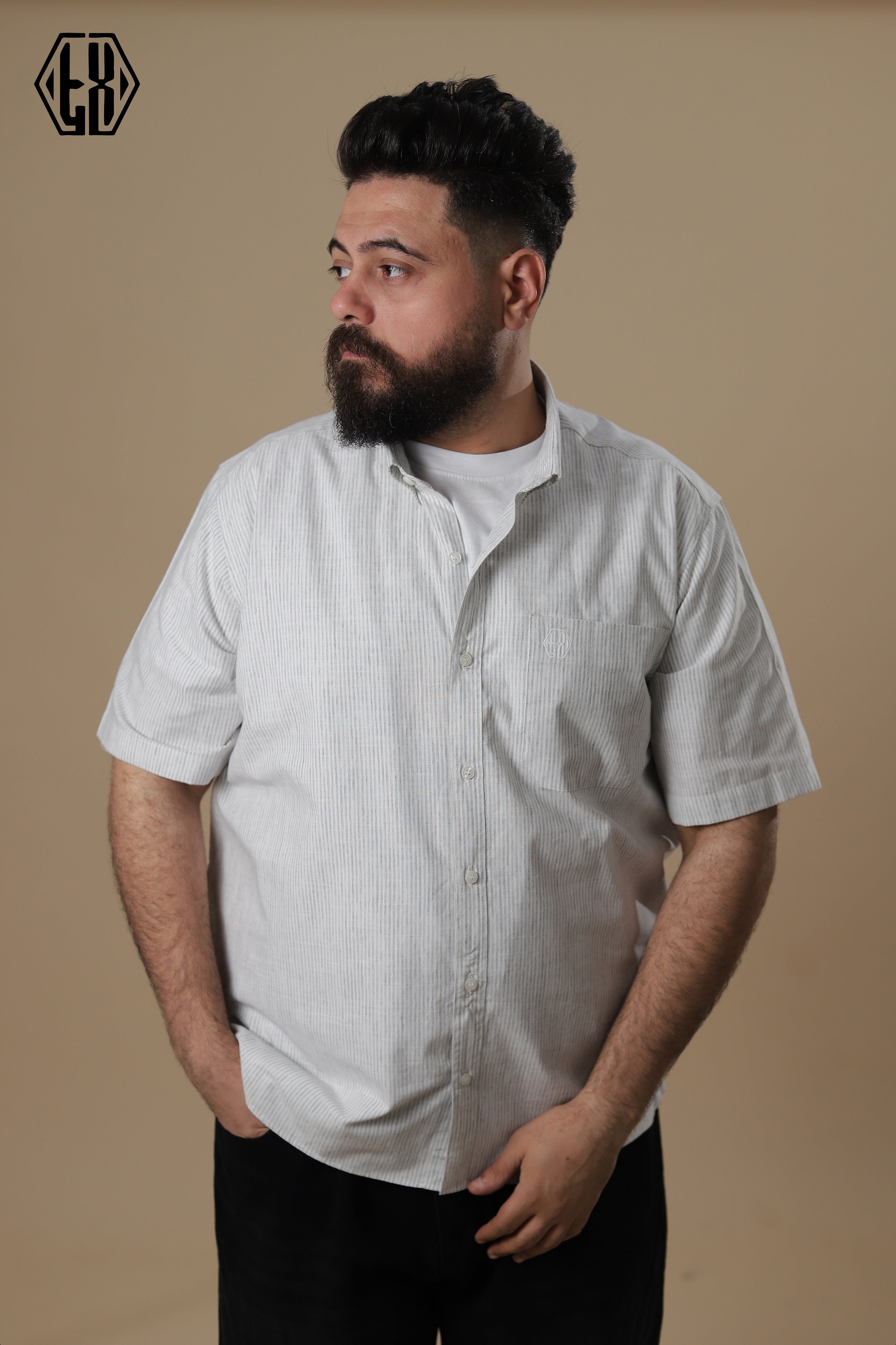 Striped Short Sleeve Linen Shirt